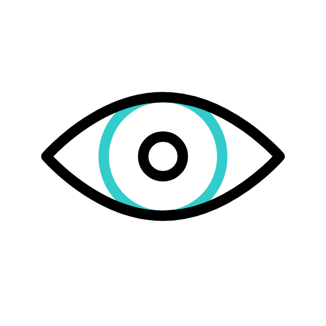 Vision Icon
